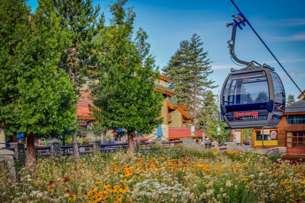 Готель Tramway Views Стейтлайн Екстер'єр фото